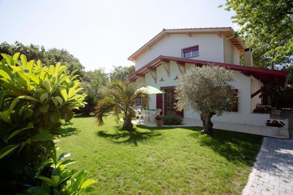Villa Robert Shumann, A 700 M De La Plage Andernos-les-Bains Dış mekan fotoğraf