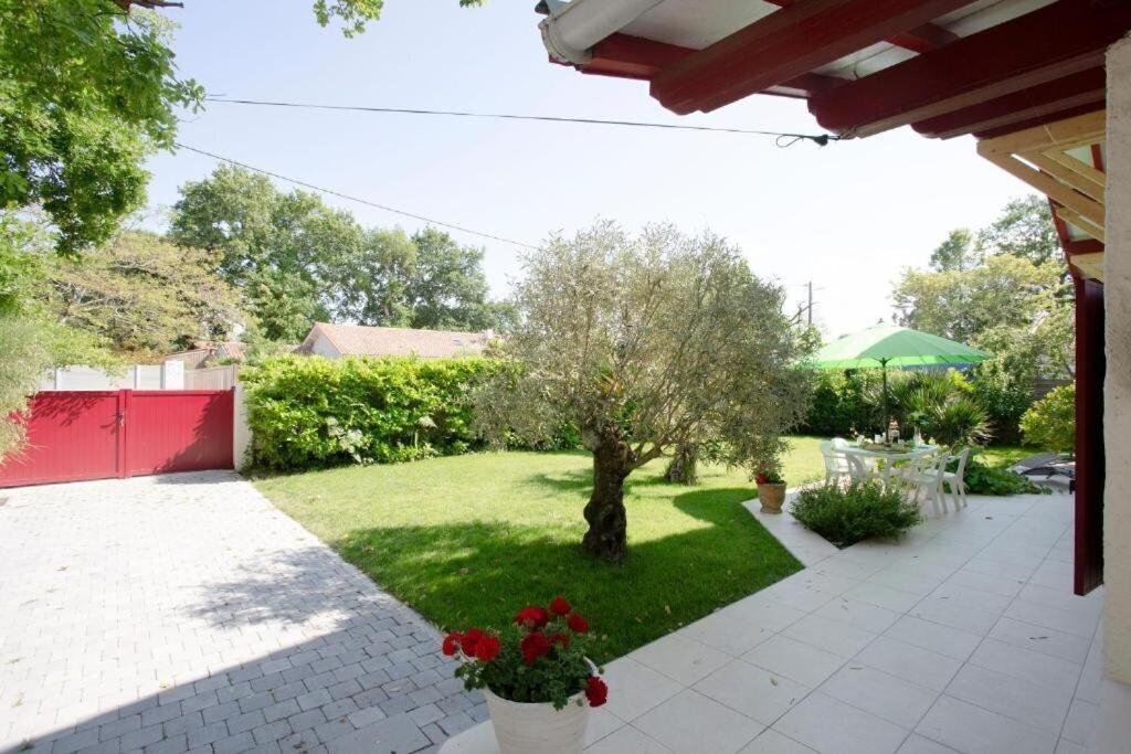 Villa Robert Shumann, A 700 M De La Plage Andernos-les-Bains Dış mekan fotoğraf